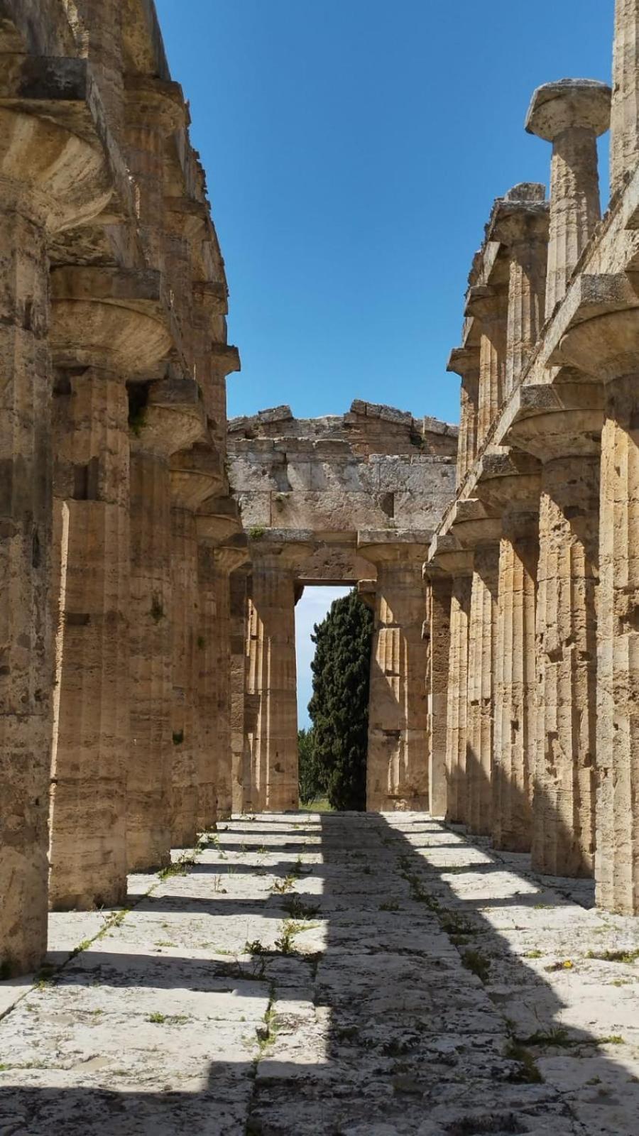 Chiaro Di Luna - Appartamento Luna Crescente Paestum Exteriör bild